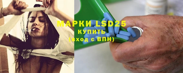 стаф Аркадак