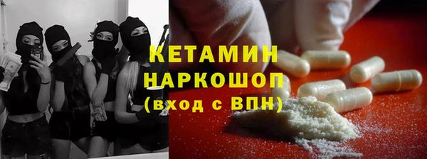 стаф Аркадак