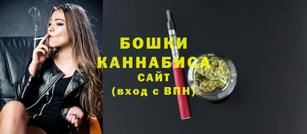 стаф Аркадак