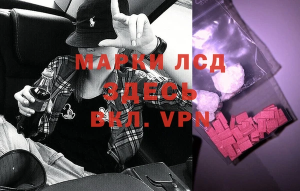 стаф Аркадак