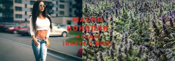 стаф Аркадак
