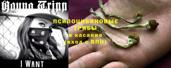 герыч Арсеньев