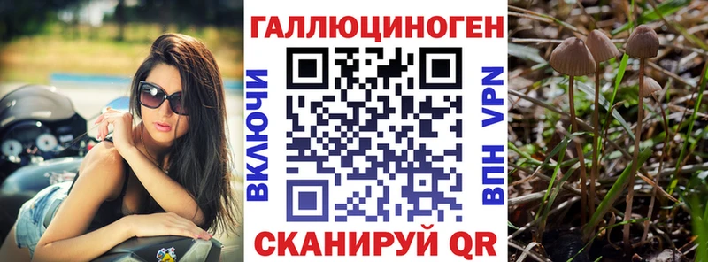 Галлюциногенные грибы Psilocybe  где купить наркоту  Мамоново 